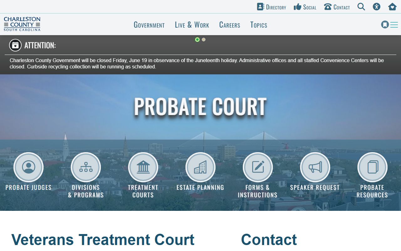 Charleston County probate records Veterans Treatment Court